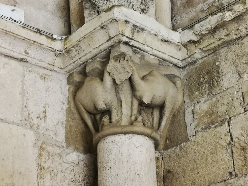 https://i.postimg.cc/VLNCzHKj/IMG-20230616-102248.jpg