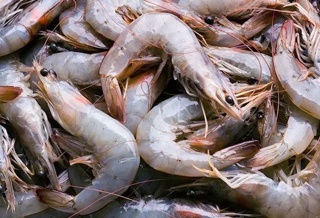 Shrimp on crushed ice