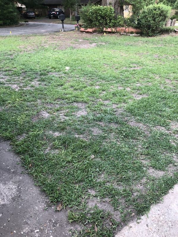 DCFF858D-10EF-46C7-8251-9BA2D08ECCFA