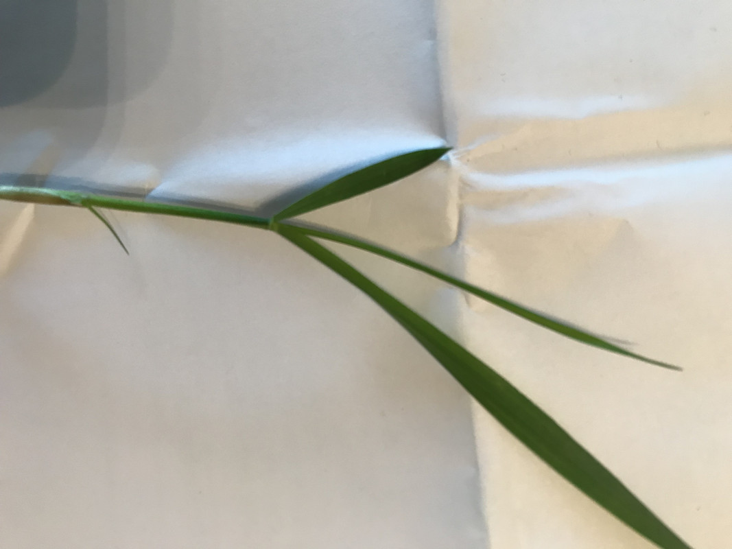 C7104F9F-6422-4715-93B1-F68A04A9582E