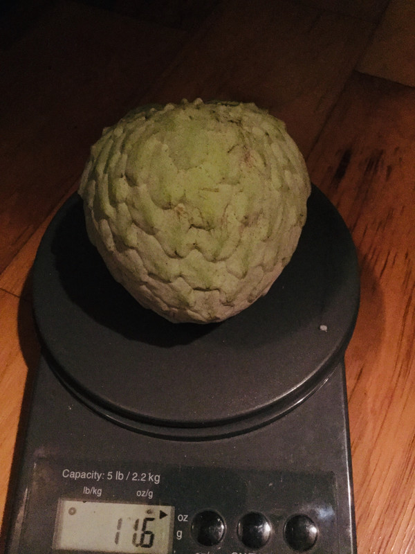 117C7A36-CEB6-4EEE-AF87-45DA6BEC4594