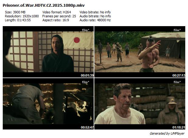 Válečný zajatec / Prisoner of War (2025)