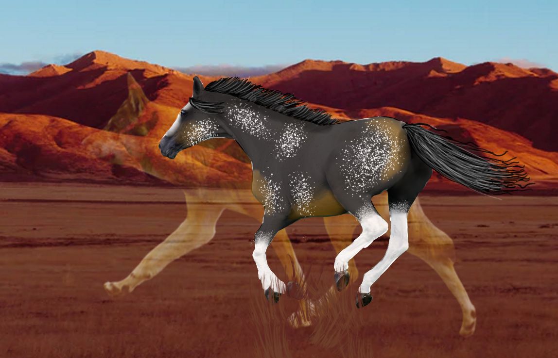 Coyoty.jpg