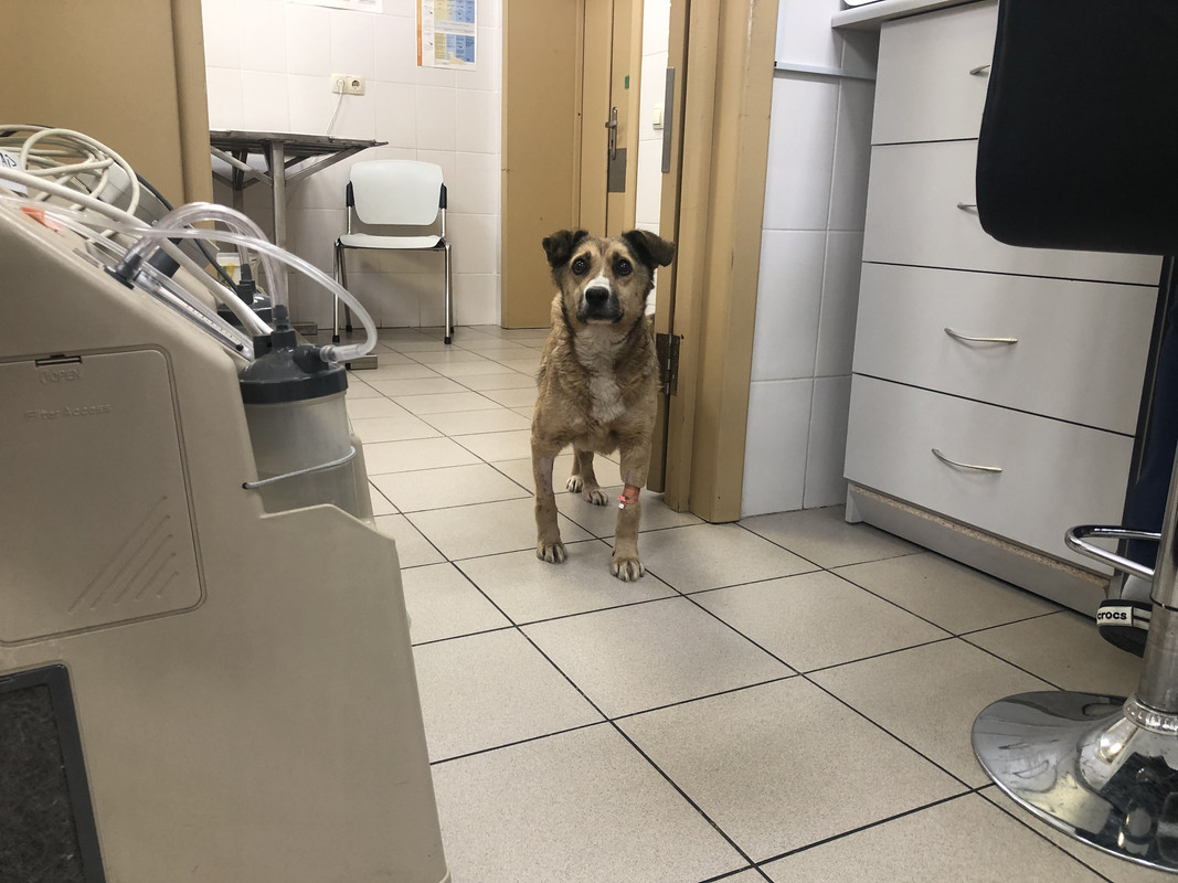 80BB8FF6-009A-4C6F-83DA-068736B82CE1