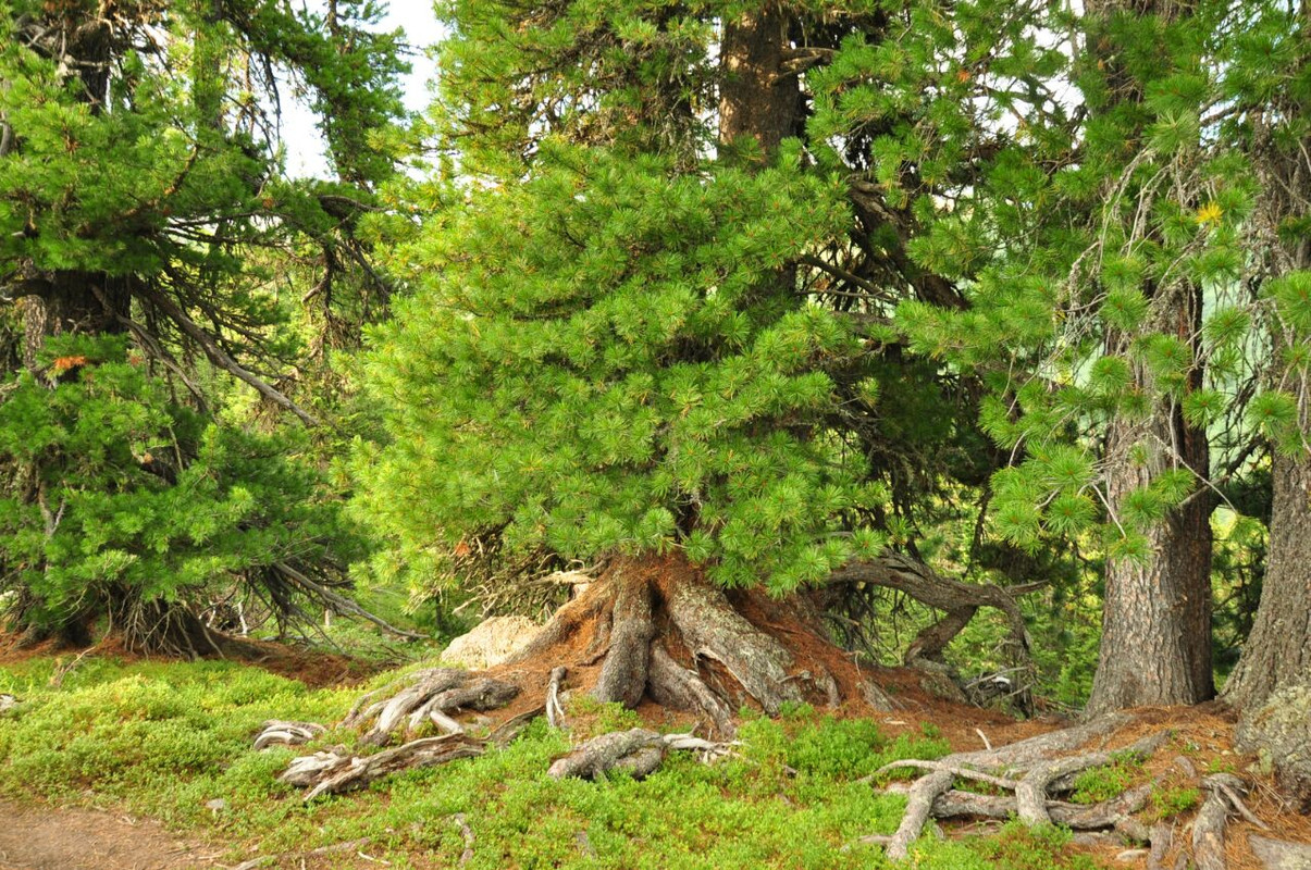 IMG_20190810_163759_769