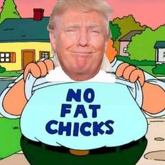 Trump-No-Fat-Chicks-G6B1nh-Qbc-AAUb3n