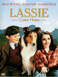 Lassie Come Home obrazek