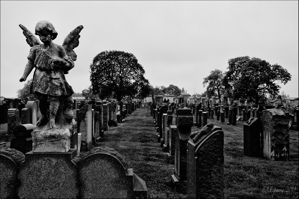 DSCF0568-BN.jpg