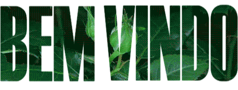 84be0330f42cdc1ccb991652b120ad8c.gif