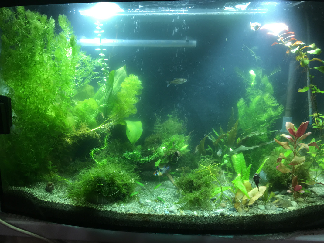 4BF76462-8AD7-408D-9698-B7CFBA760350