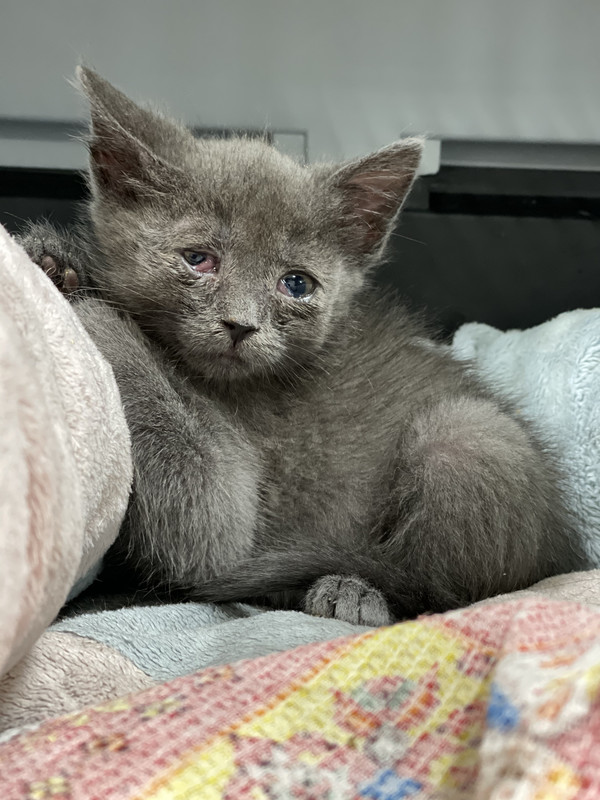 6C136F03-EE4A-468C-9029-80D5CA32B556