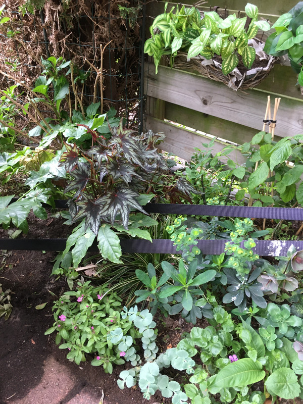 AE9CAD33-DC33-4CFA-BE0C-C87954658272