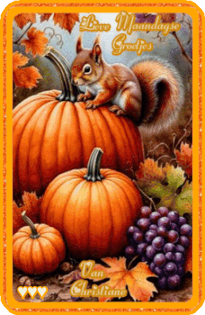 voor-blogjes-6-oktober.gif