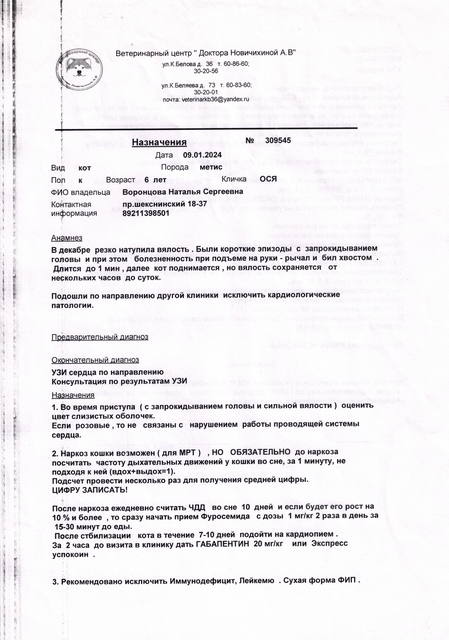 кардиолог1