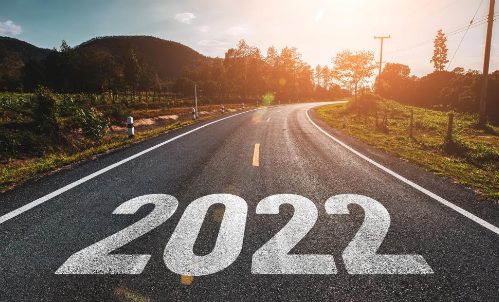 Стратегия 2022 (Александр Литвин)