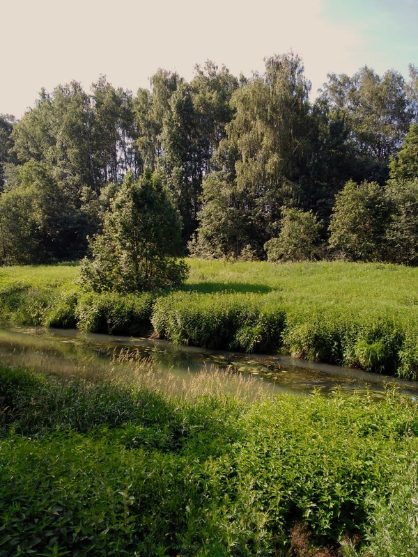 WhatsApp Image 2019-06-21 at 08.53.52(1)