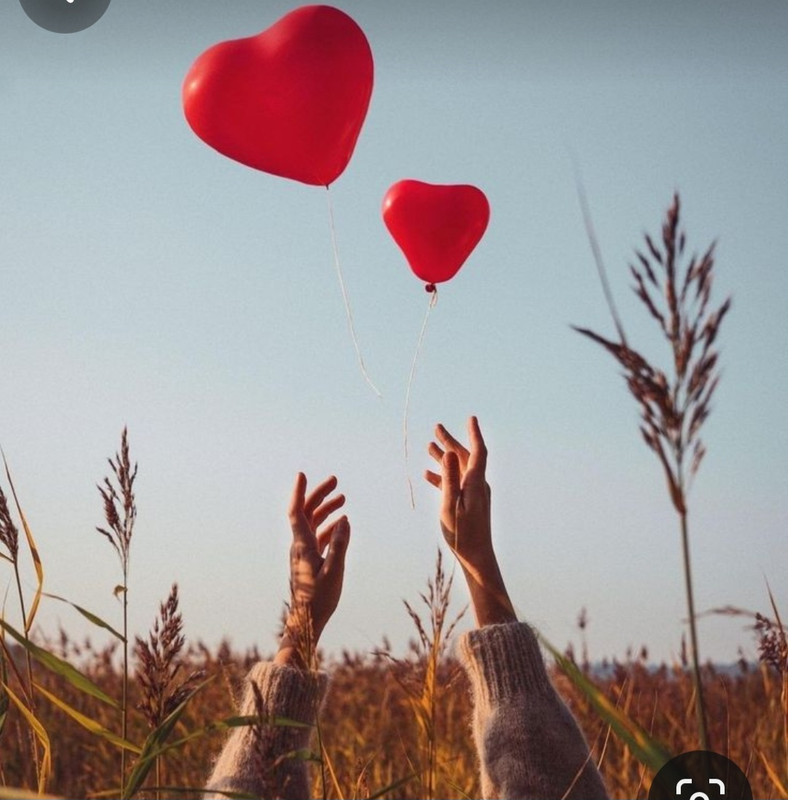 Screenshot_20240214_172555_Pinterest