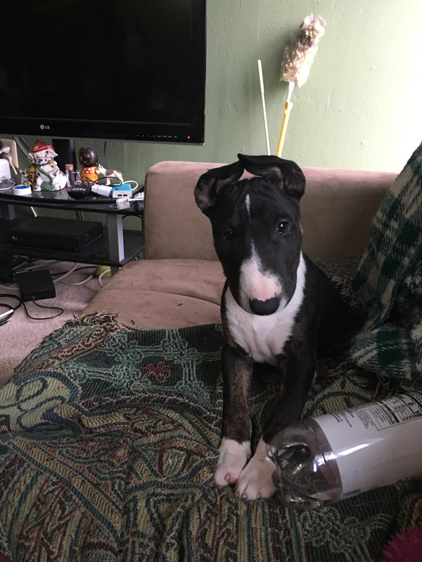 EF6603CD-DFF7-411A-93D7-78CE86C6E834