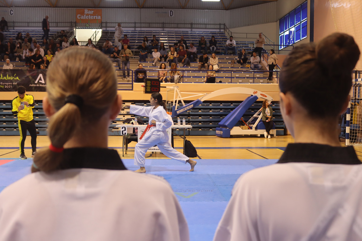 IMG-8528