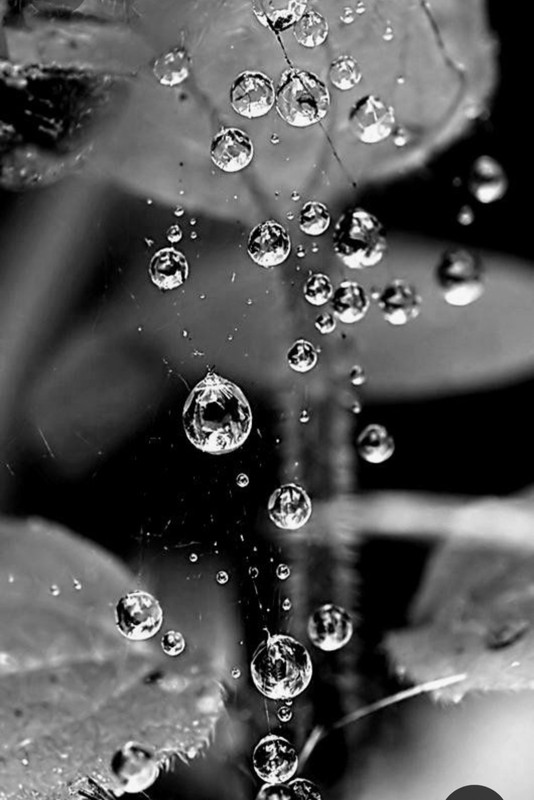 Screenshot_20230329_231452_Pinterest