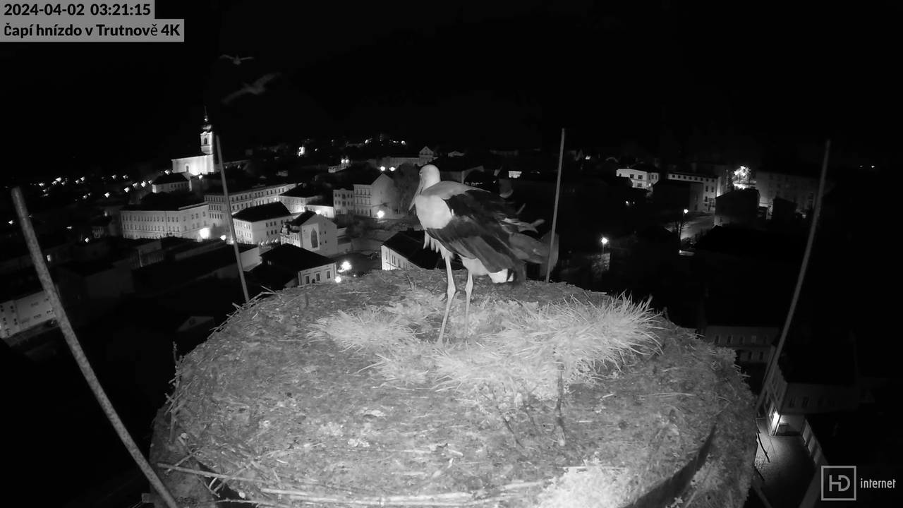 Tiešraidē no stārķa ligzdas uz alus darītavas skursteņa Trutnovā 8-9-55 screenshot