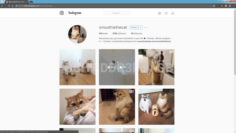 [Image: G-Pjustin-Cener-Instagram-Bootcamp.jpg]