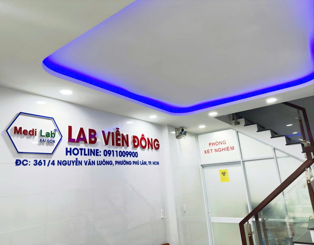 Hoạt động chuyên môn