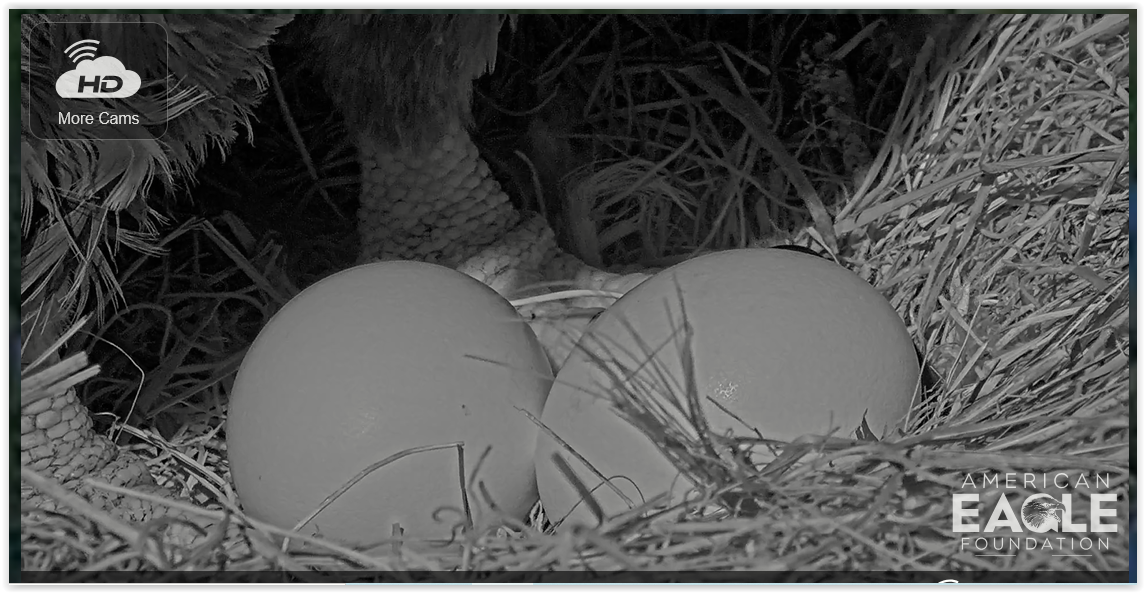 Screen Shot 01-17-25 at 08.03 AM