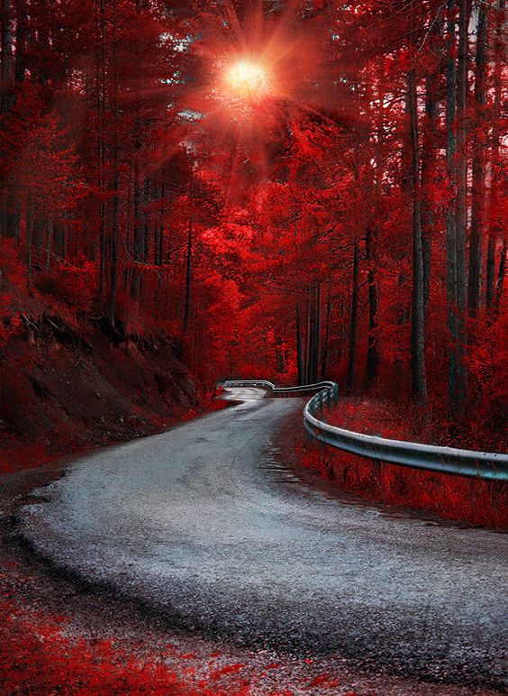 redleafylane.jpg