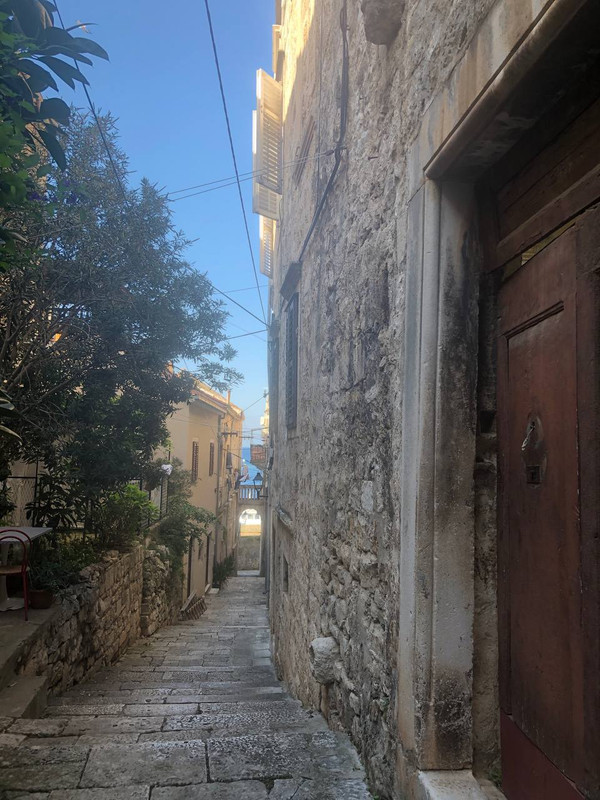 photo_2024-10-29_12-56-17