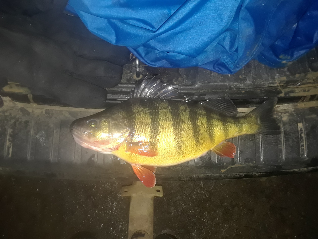 20190205_175737