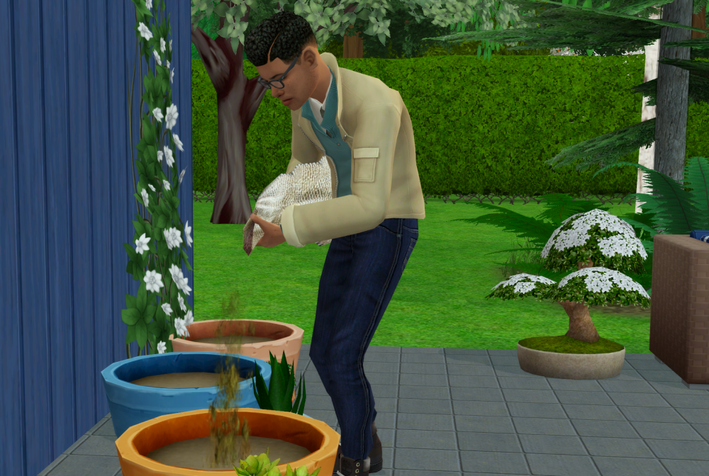 Sims2-EP9-RPC-2021-07-16-17-07-15-04