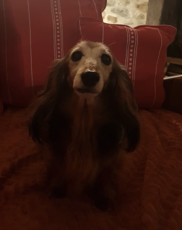 [Image: C7-A3-A3-F1-BD43-4-D73-987-B-1-B068-B731-FAC.jpg]