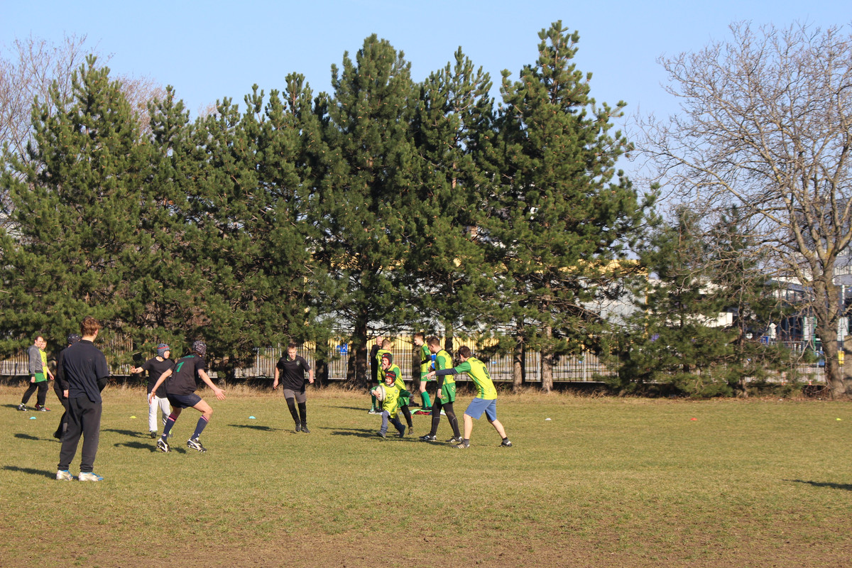 IMG-5372