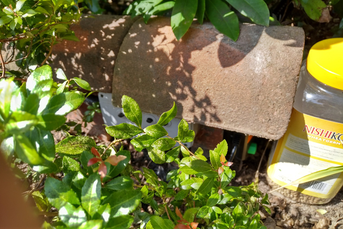 IMG_20180422_1352454