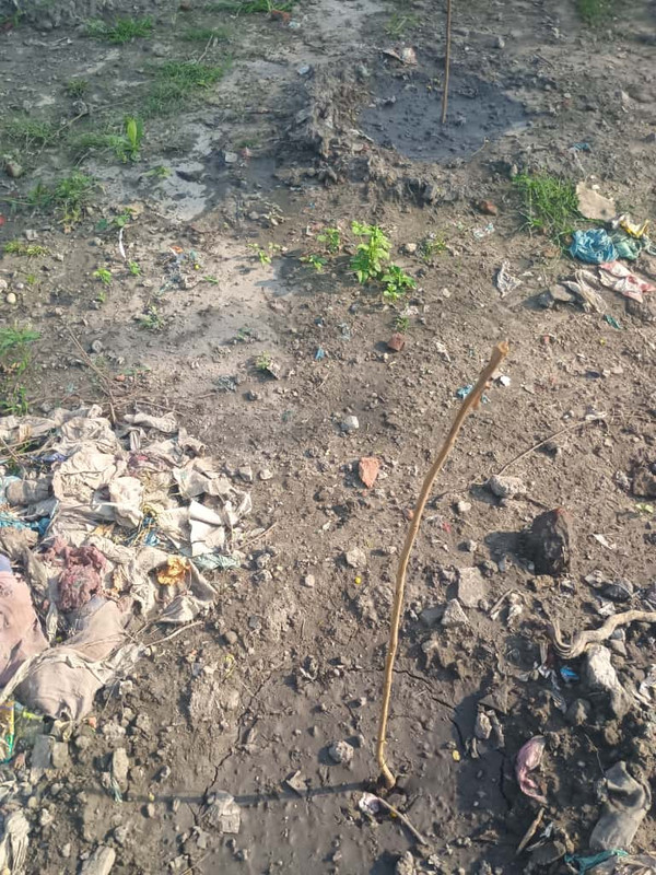 WhatsApp Image 2025-10-14 at 09.20.59 (1)