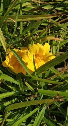 изображение_viber_2023-10-30_11-13-16-227