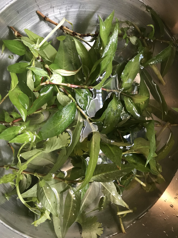 47425E27-5653-4EDD-96C4-E4D5EE6187AC