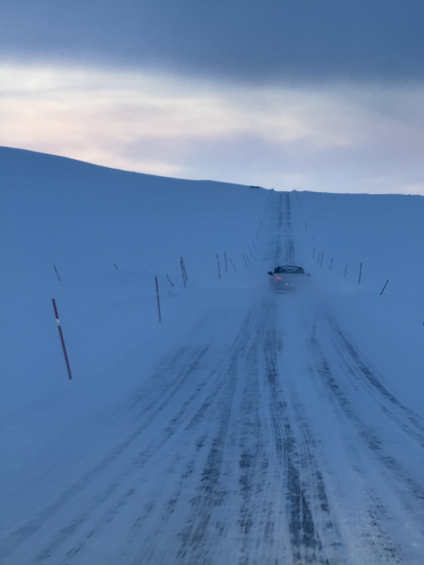 [Immagine: IMG_7826.jpg]