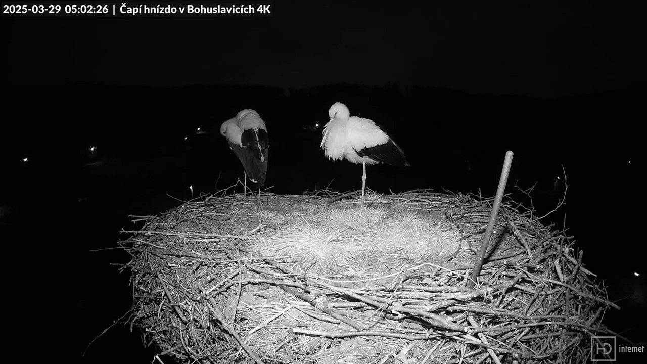 Živě z čapího komína firmy KARA v Bohuslavicích u Trutnova 2-46-48 screenshot