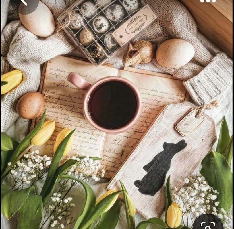 Screenshot_20230413_233353_Pinterest