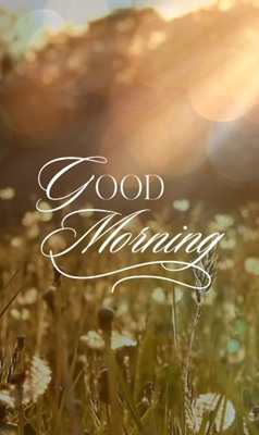 vartotojo �kelta nuotrauka