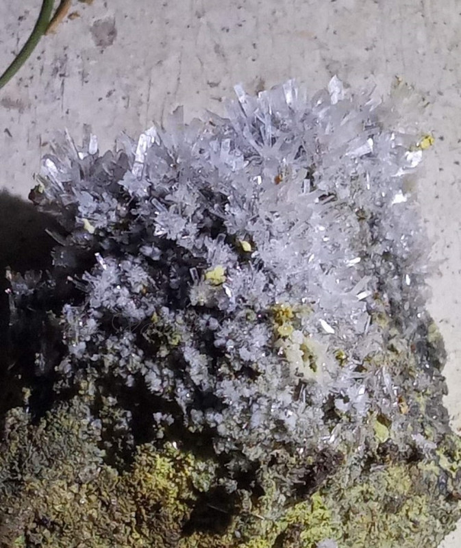 Img 20240106 Wa0025 Postimages