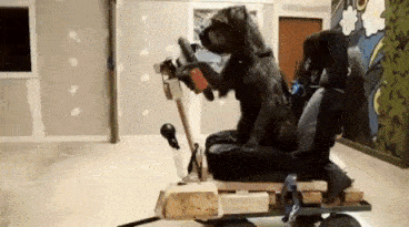 https://i.postimg.cc/VLVtw0gg/7.gif