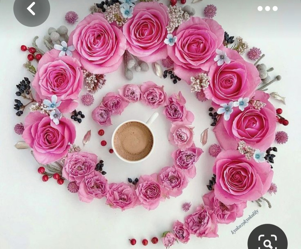 Screenshot_20230712_013123_Pinterest