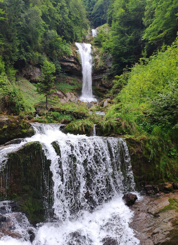 Huyendo del COVID a los Alpes (2020) - Blogs de Suiza - De casa a Grindelwald (Zona de Interlaken) (48)