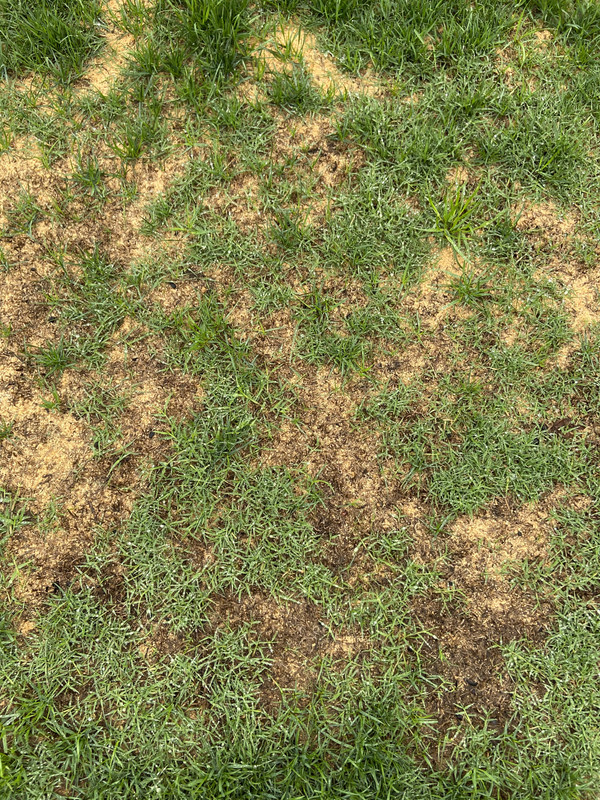 8C4BCB1C-1D11-4AC6-8ABC-ADAF19C9E889