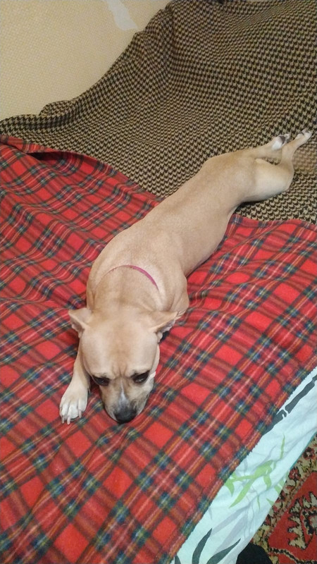 0720A586-FA17-4F68-93DF-B567AF1ED14E