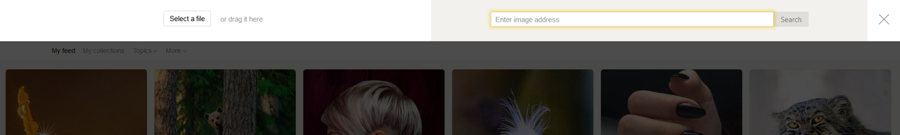 screenshot-yandex.com-2019-06-19-22-22-47