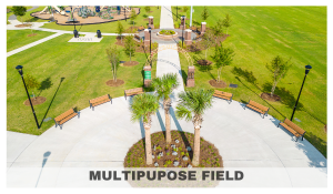Multipurpose Field